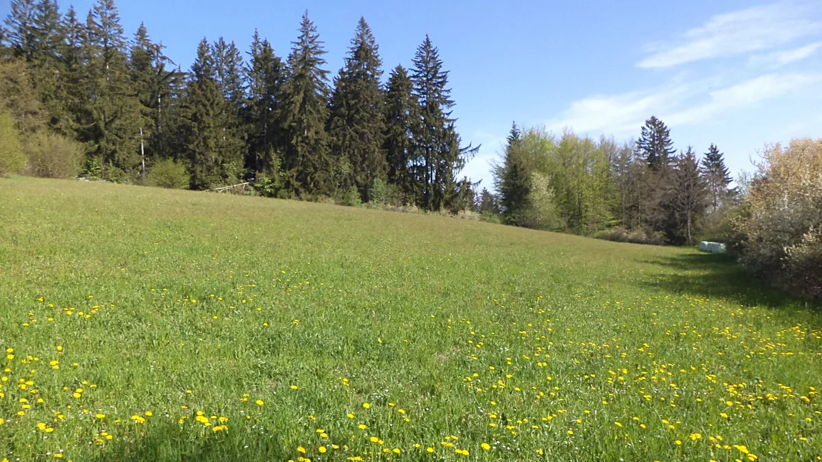 Prodej pole 9910 m²